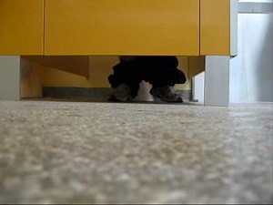 Constipated Guy on the Toilet