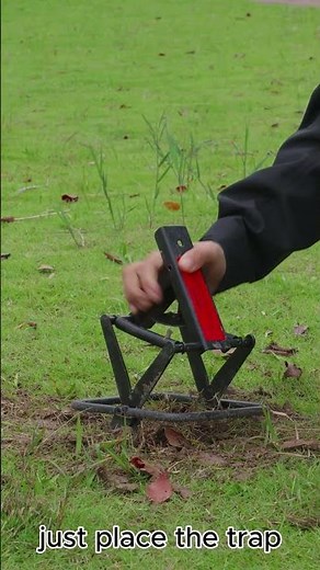 This Mole Trap Works FAST 🐾 No Poison. Easy Setup. #polaflex #moletrap #pestcontrol #lawncare