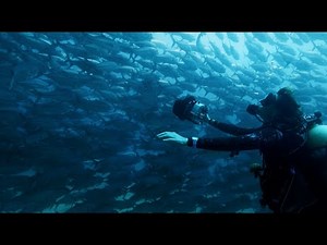 Celebrating 35 Years of Citizen Promaster – Discover New Depths