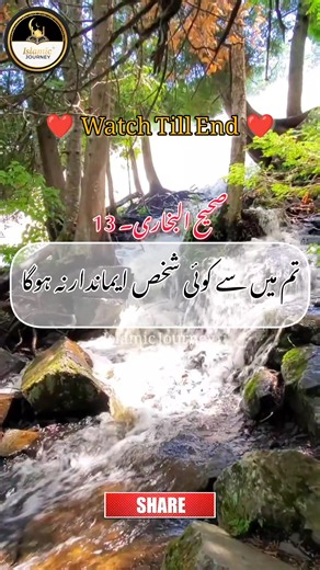 4.6K views · 247 reactions | Hadith Of Prophet Muhammad ﷺ 鹿鹿| Best...