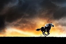 Secretariat - HBO Online