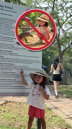 Kids Discover a Monitor Lizard in Lumpini Park 🦎 Fun Facts + Safety Rules