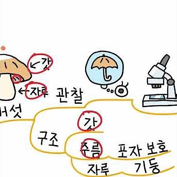 초등 4학년 1학기 과학, 4단원: 다양한 생물과 우리 생활(01)