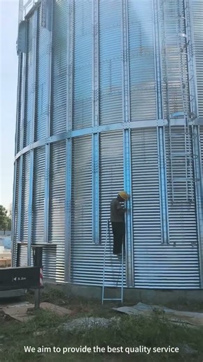 2000 Tons Hopper Bottom Silo #tsesilo #grainsilo