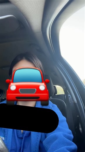 Troubleshooting My Tesla Speakers