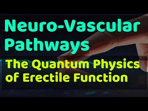 Neuro-Vascular Pathways: The Quantum Physics of Erectile Function