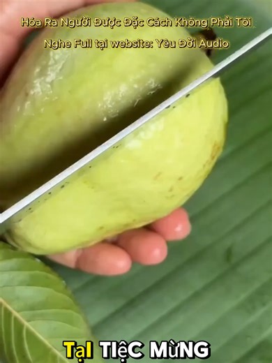Hóa Ra Người Được Đặc Cách Không Phải Tôi - Truyện Audio