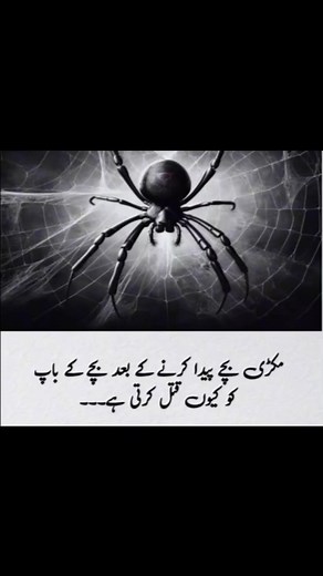 #information #StarsEverywhere | Ahtesham