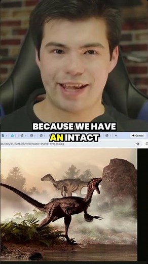 Velociraptor vs Protoceratops: the fossilized fight buried alive that proves dinosaurs battled