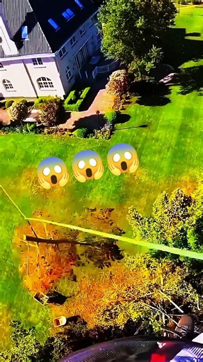 To lower a tree branch using a rope!#logging #fall #treefelling #logflume #treeworks #treeexperts