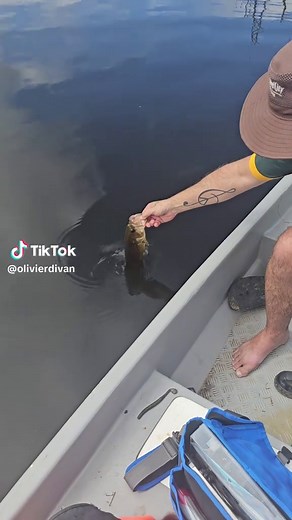 Ultimate Guide to Bass Fishing in South Africa