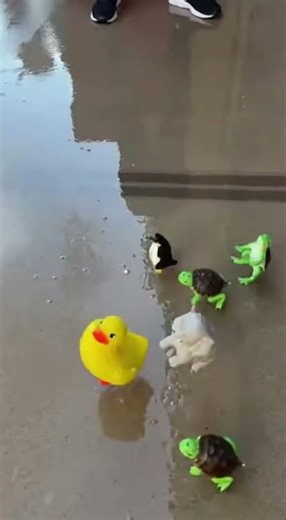 Pool Cooler Kaboom: Mini Zoo Stampede