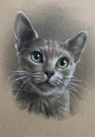 Captivating 1.5 Hour Charcoal Drawing of Cats