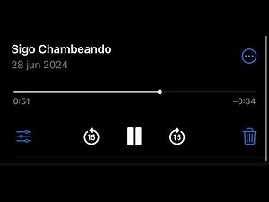 Sigo Chambeando (SLRC)