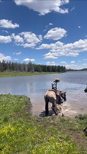 It feels like we are living in this song. #duderanch #colorado | Black Mountain Colorado Dude Ranch