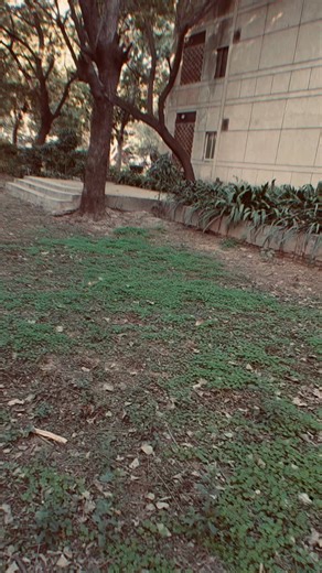 Instagram video by nikhil lohia • Feb 14, 2026 at 5:20 AM