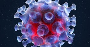 About us | Faculty of Pharmacy | University of Helsinki