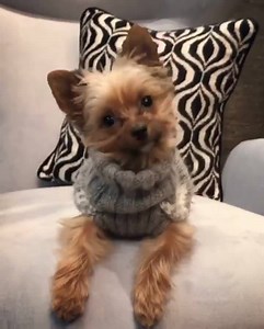 1.5K views · 121 reactions | Jonathan Adler on Reels | Facebook