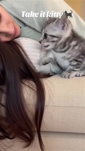 Take it kitty #animalsoftiktok #dogsoftiktok #merrychristmas #petsoftiktok #catlovers