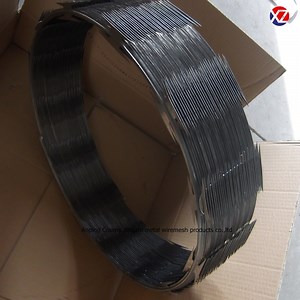 [Hot Item] Cbt-60/65 Single Type Razor Barbed Wire