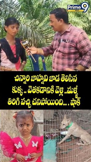 Kakinada Girl Jahnavi Missing Case : చిన్నారిజాహ్నవి జాడ తెలిసిన కుక్క.. వెళ్లి..చనిపోయింది ..షాక్😱
