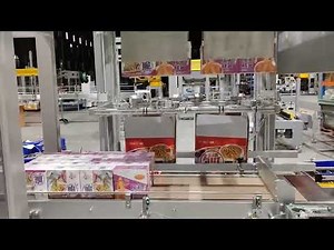 High-Speed top load Case Packer for Efficient End-of-Line Packaging Automation line
