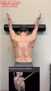 The One Exercise For Perfect Shoulder Mechanics #fitness #technique