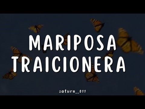 Mariposa Traicionera - Maná (Letra)