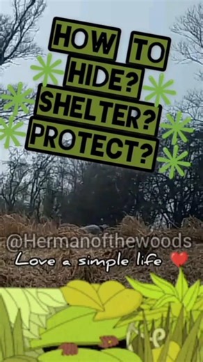 Dutch army poncho for hiding shelter, (rain)protection #nature #diy #wildlife