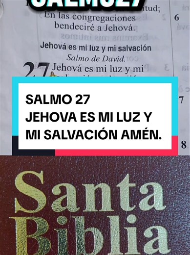 SALMO 27,jehová es mi luz y mi salvación de quién he de atemorizarme Amén. #salmo27 #Reflexion #CreadorDeContenido #ViralVideo #Bendecida