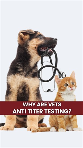 6.5K views · 136 reactions | Titer testing works- so why aren’t ALL...