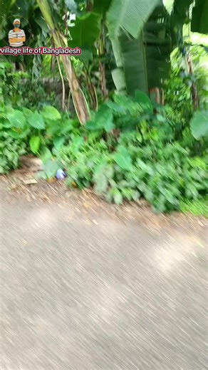 Exploring Village Life in Bangladesh