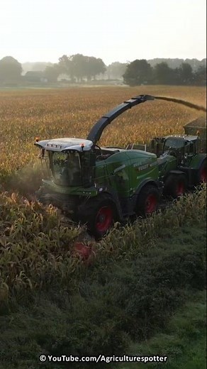 Mais Silage | Fendt Katana 650 | BMWW Agriservice | 2023