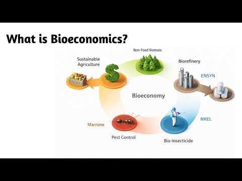 What is Bioeconomics ?