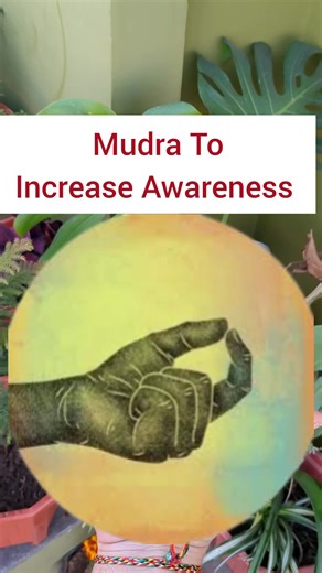18K views · 362 reactions | Chinmaya Mudra or the Gesture of...