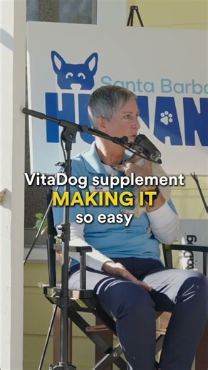 Vet checks first, then the right supplement routine for your dog
