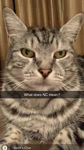 Understanding the Meaning of NC: What Does NC Stand For?