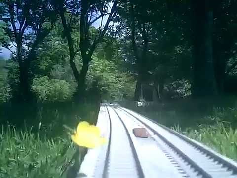 OO/HO garden railway cabride, May 2019