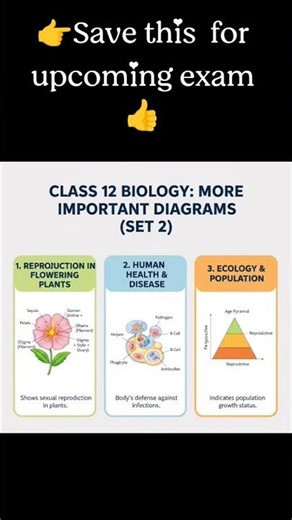 class 12th bio imp diagram 💯🎯 #biology #class12 #examquestions #students