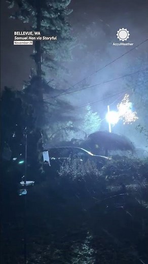 Tree Falls, Blows Up Power Lines in Washington