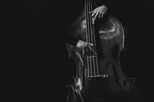 18 Fun And Interesting Facts About The Double Bass