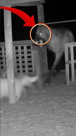 Alone at Night? Don’t Watch This Haunted Short! 👻 | Scary Ghost Story #Shorts