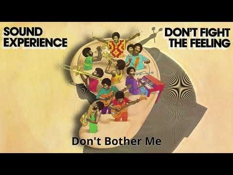 Sound Experience – Don't Bother Me (2026 Remaster) [Official Visualizer]