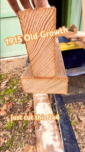 You Can’t find Lumber Like This at Home Depot or Lowe’s 🪾 #oldgrowth #woodworking #historical