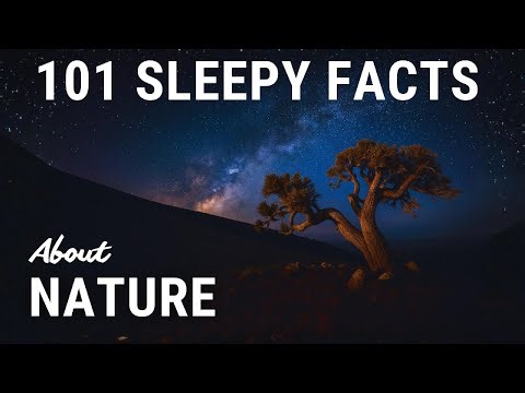 Fall Asleep to Nature Facts and Feel Your Mind Rest