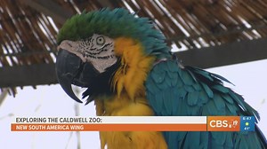 EXPLORING THE CALDWELL ZOO: Meet the marvelous Macaws at Amazon River's Edge