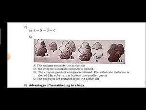 Biology National Examination - NESA EXAM 2024