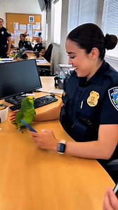 Parrot Stops Officer’s Phone Time 😳🕊️ You see a green parrot tell a young officer to stop looking at her phone. It says the phone cannot love her. The room bursts into laughter. She lifts the bird with a smile. The moment feels warm and real. #parrotvideo #funnyparrot #policeoffice #usa #4kvideo #youtubeshorts #viralclip #officehumor | Smile of Prosperity