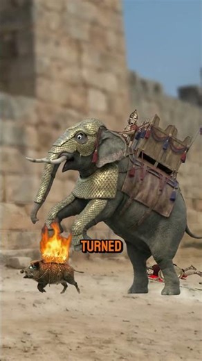 When humans started weaponizing animals 😳