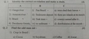 Q. 1 Identity the correct co-relation and make a chain.(4)\be... | Filo